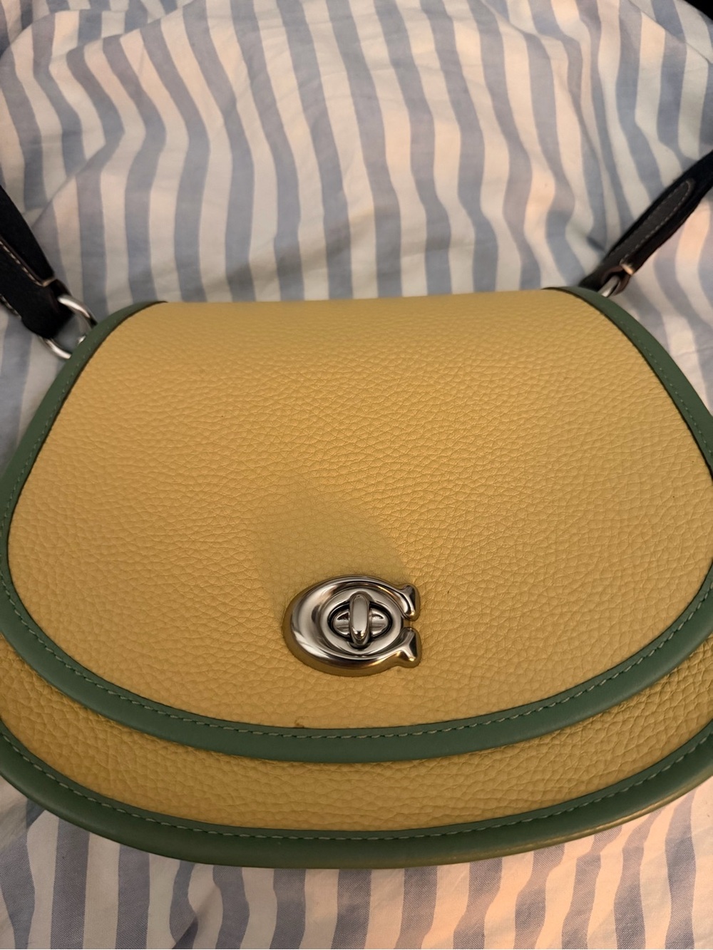 Coachtopia and Green Leather Saddle Messenger with Logo Strap - Picture 2 of 5
